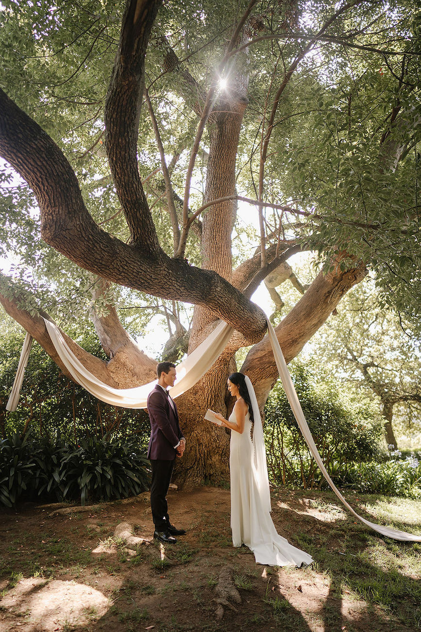 A bride and groom stand under a large tree with hanging fabric, exchanging vows in an outdoor wedding ceremony. Sunlight filters through the branches.