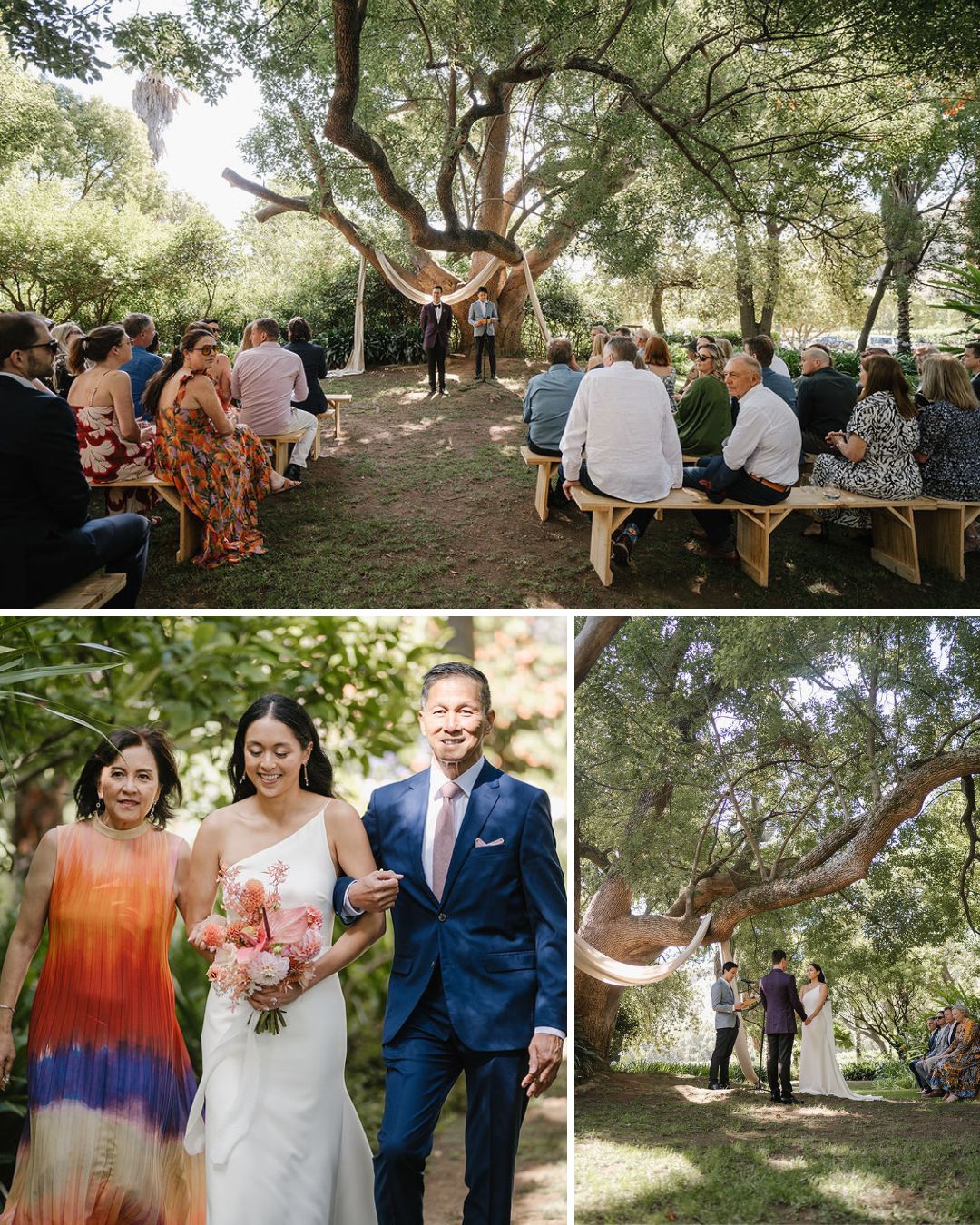 A small outdoor wedding ceremony under a large tree; guests seated on benches, the bride walks with two people, and the couple stands together at the altar.