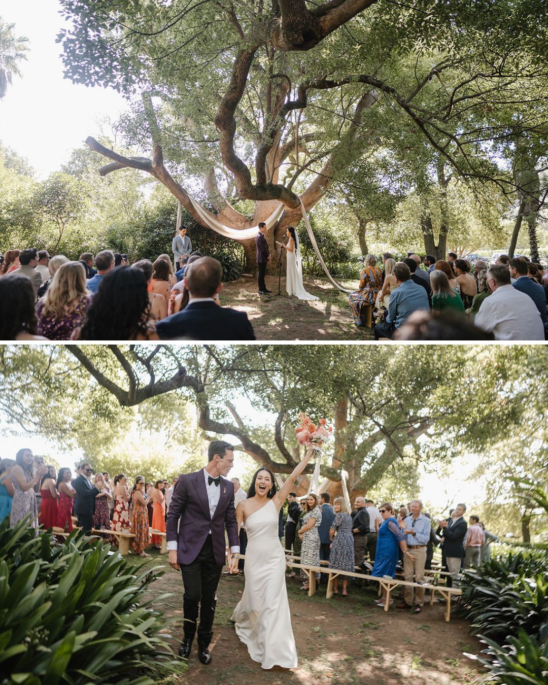 Two photos of an outdoor wedding ceremony: couples seated under large trees, and a bride and groom walking down the aisle, smiling and holding hands.