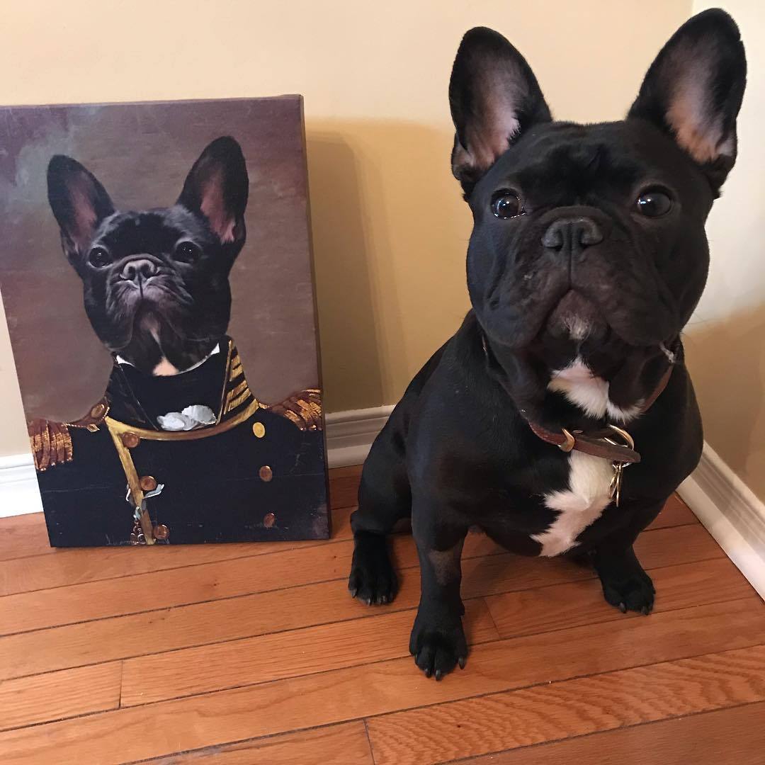 A black French Bulldog sits on a hardwood floor next to a portrait of itself depicted in a military uniform.