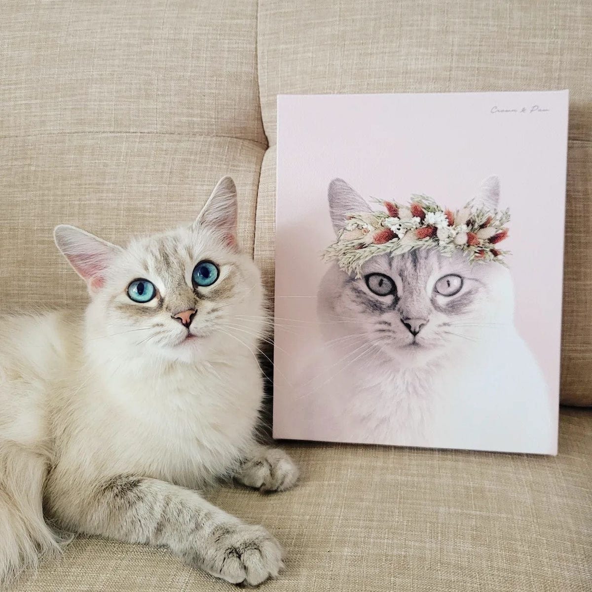 A fluffy white cat with blue eyes sits on a beige couch next to a portrait of itself wearing a flower crown on a pink background.