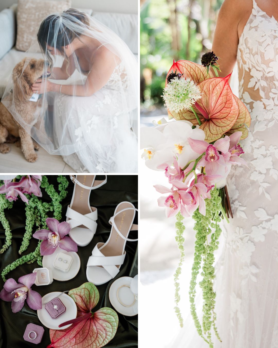 Bride in veil with dog, bride holding cascading bouquet, and flat lay of white shoes, flowers, and jewelry on dark fabric.