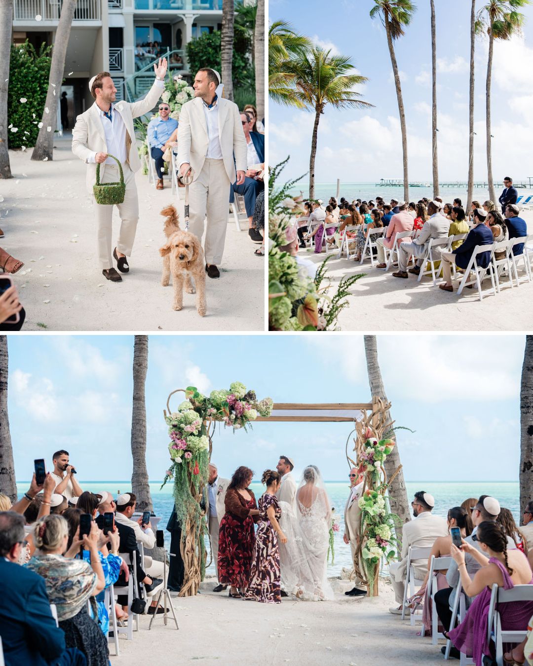 Three wedding scenes on a beach: two men walk a dog, guests seated facing the ocean, and a couple stands under a floral arch with an officiant.