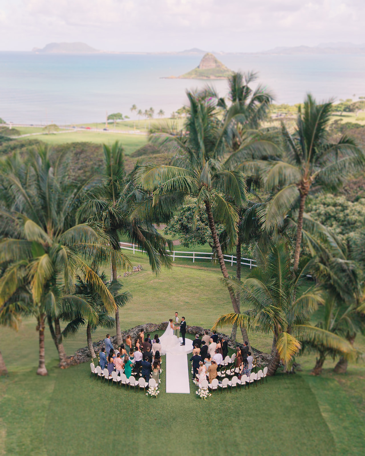 A wedding ceremony is taking place outdoors on a grassy lawn surrounded by palm trees, with the ocean and an island visible in the background.