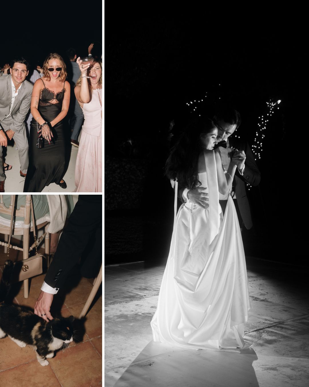 A collage shows people dancing and posing at an event, a couple dancing closely in formal attire, and a hand petting a black and white cat indoors.