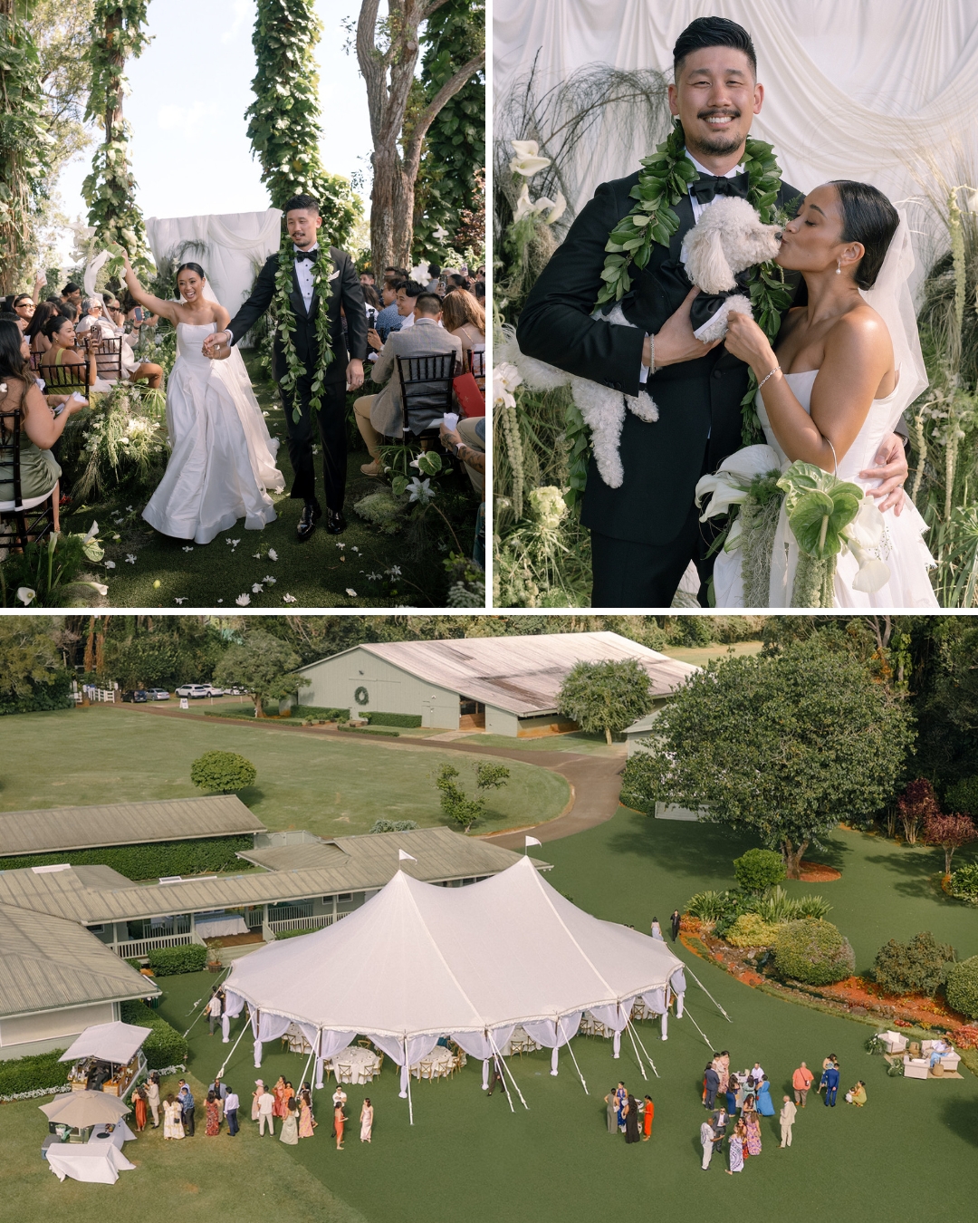 A couple walks down the aisle, poses with a dog, and guests gather outside a large white tent at an outdoor wedding venue.