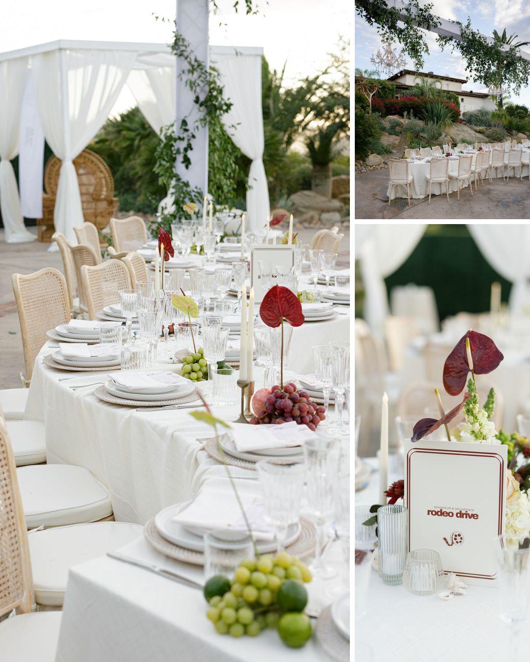 Outdoor event setup with white draped canopy, tables arranged with white linens, plates, glasses, menus, and centerpieces featuring grapes and red leaves.