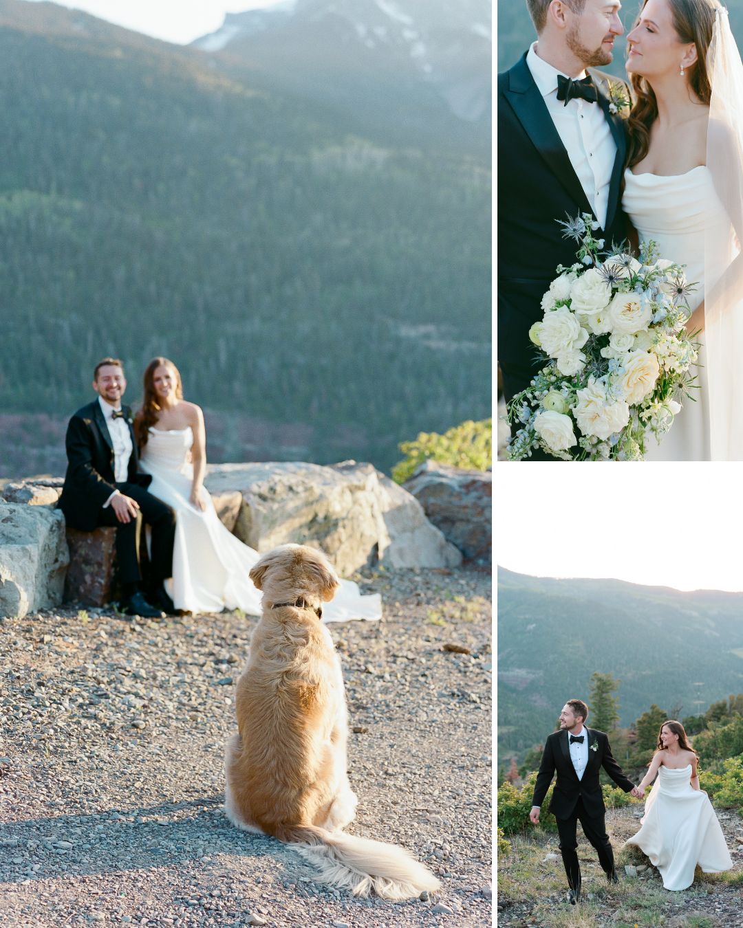 A bride and groom pose outdoors in formal attire with mountains in the background; a dog sits facing them in one image.
