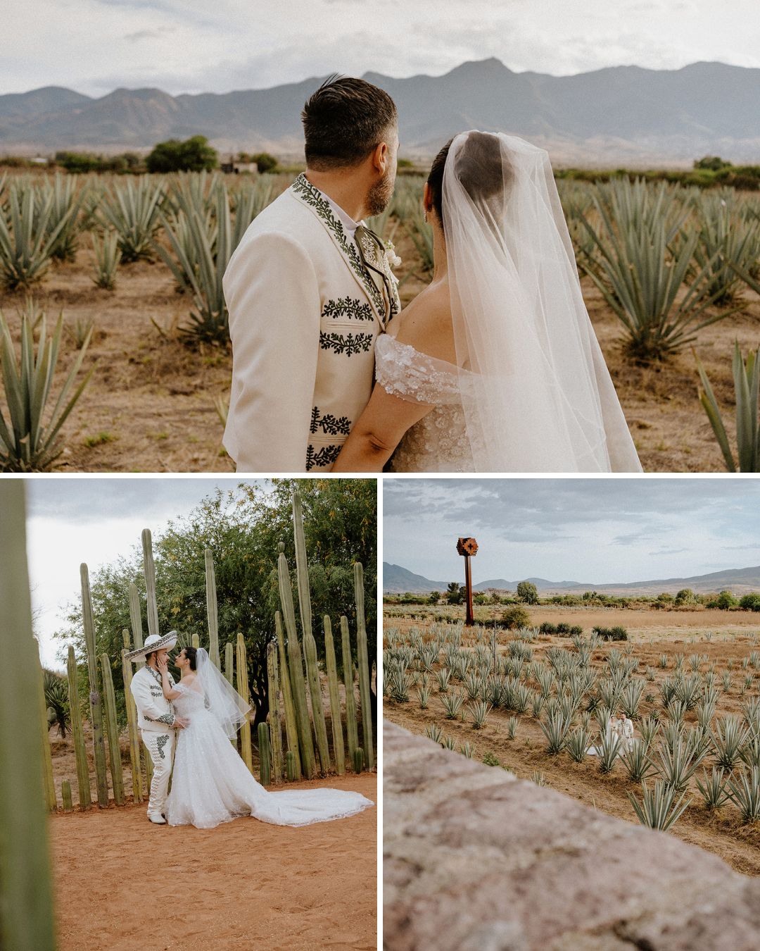 A bride and groom pose in a desert landscape with agave plants and mountains in the background, wearing wedding attire.