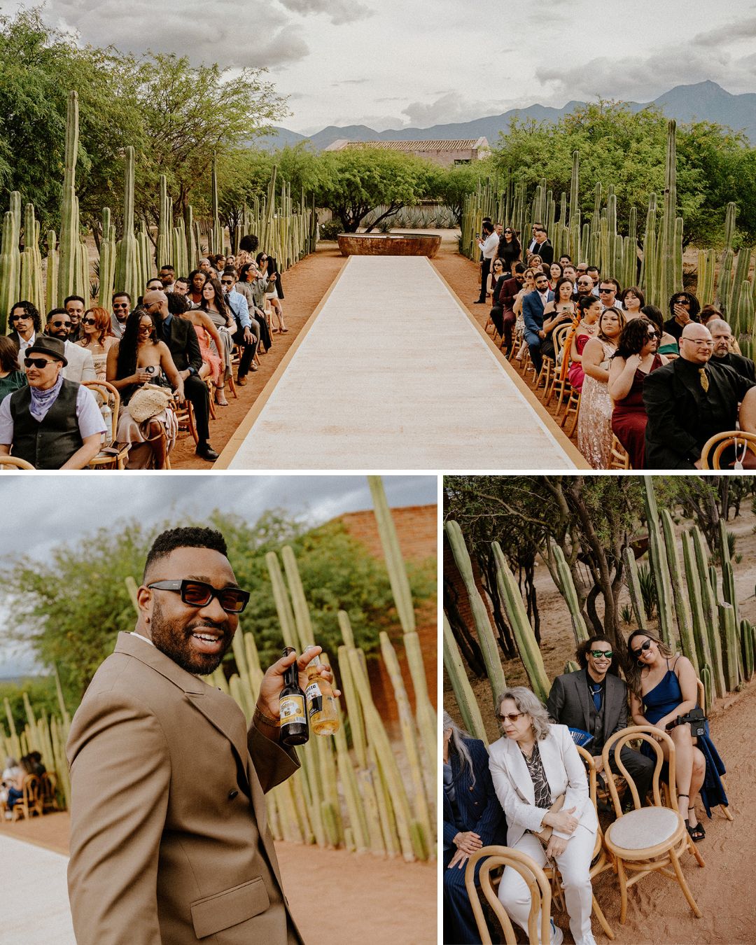 Outdoor wedding ceremony with guests seated along a cactus-lined aisle; two smaller images show guests posing and smiling among the cacti.