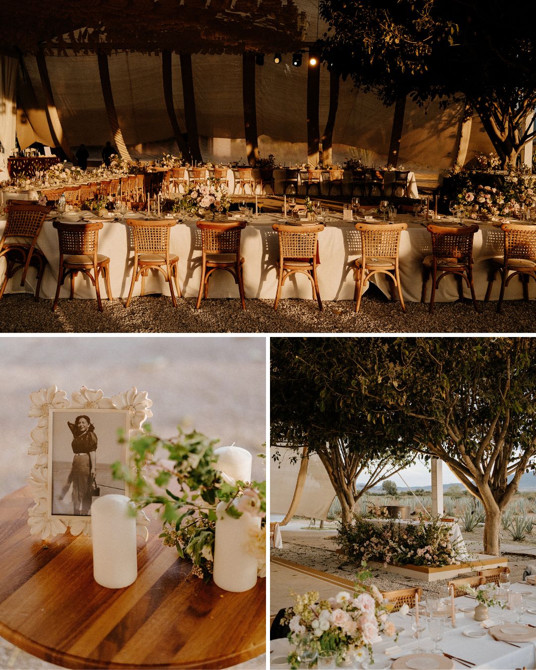 Elegant outdoor event setup with long dining tables, floral centerpieces, wicker chairs, candles, and framed photo, under large tents and trees.