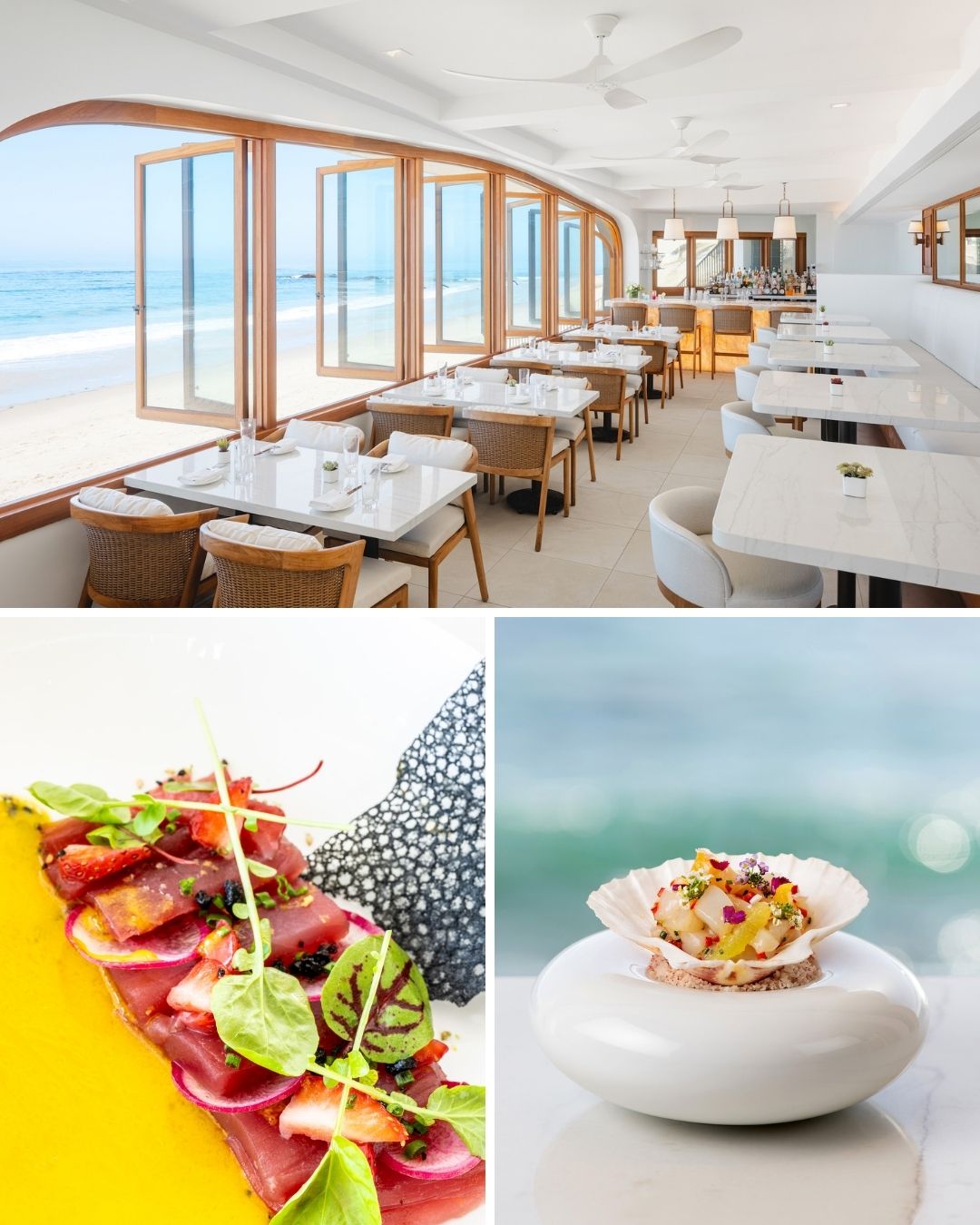 Bright beachfront restaurant interior above two close-up images of gourmet plated dishes, one with sliced fish and greens, the other with a seafood appetizer in a shell.