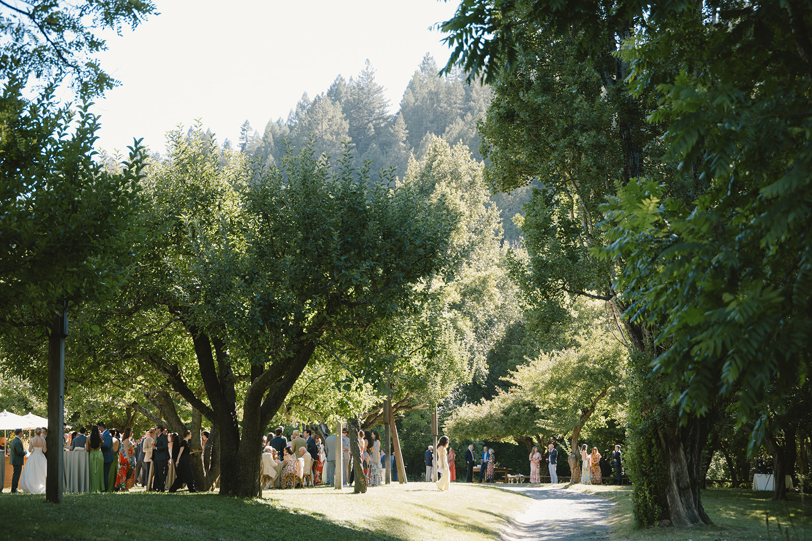 A group of people stand in a shaded outdoor area surrounded by trees, with sunlight filtering through the branches.