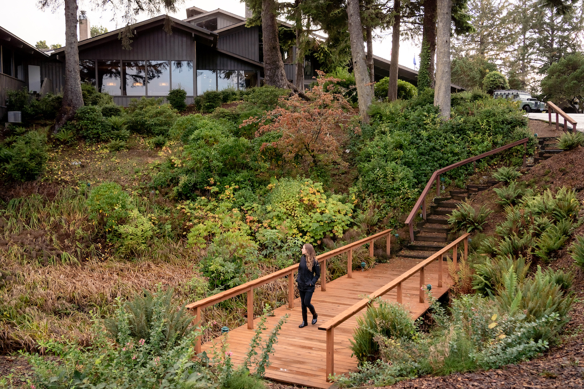 A person stands on a wooden footbridge surrounded by greenery, with a modern house and outdoor stairs visible in the background.