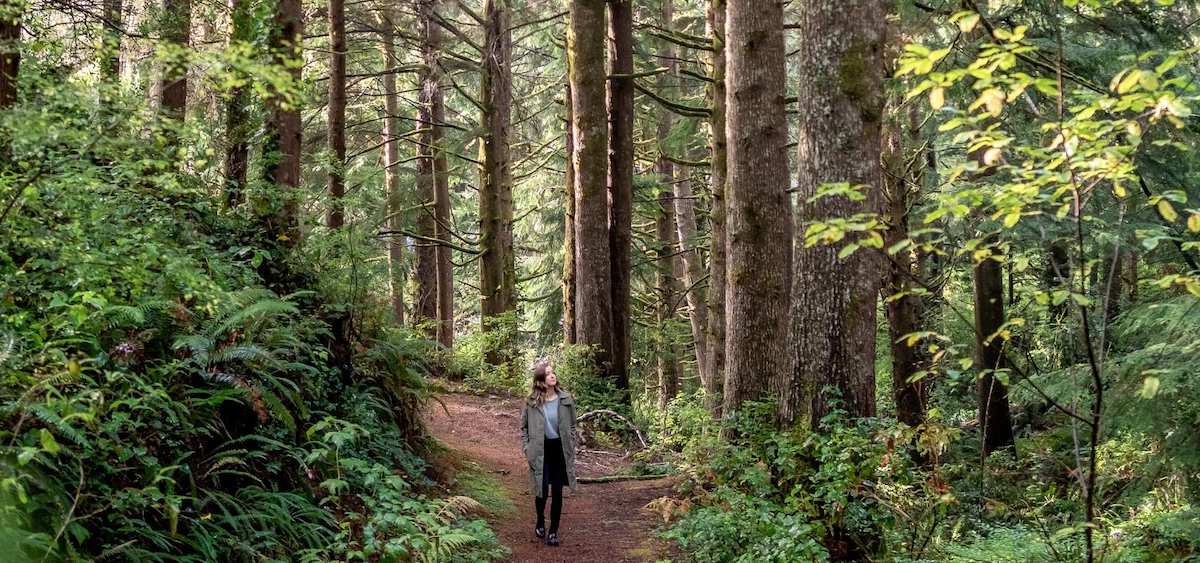 A person walks alone on a dirt trail through a dense forest with tall trees and lush green foliage.