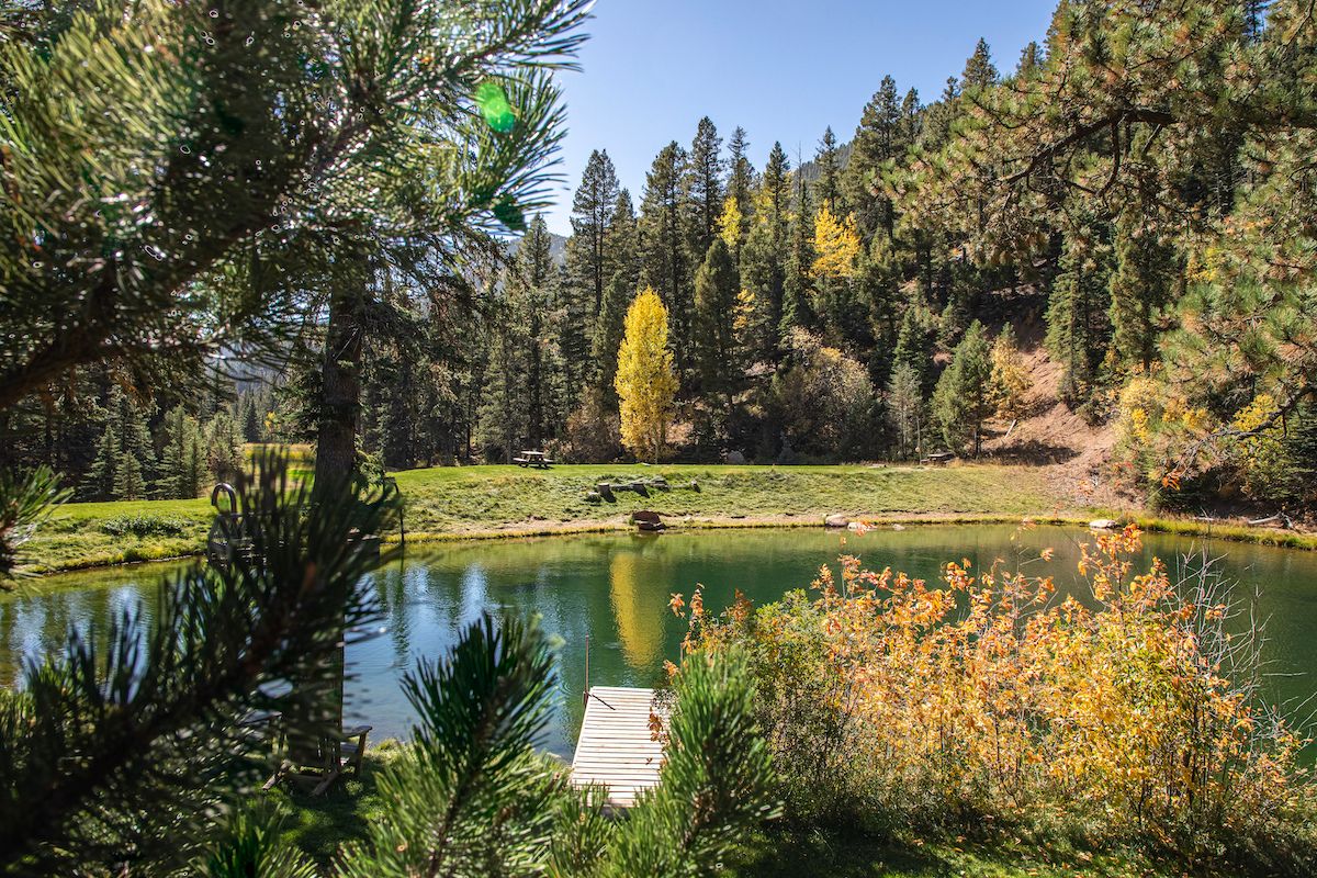 A small pond surrounded by evergreen trees and a single yellow autumn tree, viewed from behind pine branches with a wooden dock at the water’s edge.