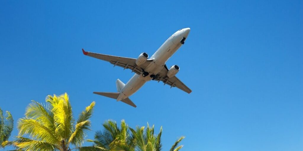 A commercial airplane flies low over palm trees against a clear blue sky.