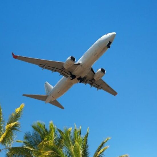A commercial airplane flies low over palm trees against a clear blue sky.