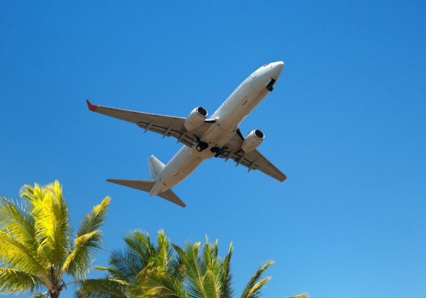 A commercial airplane flies low over palm trees against a clear blue sky.